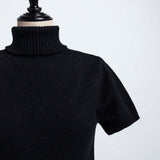 Turtleneck short sleeve sweater